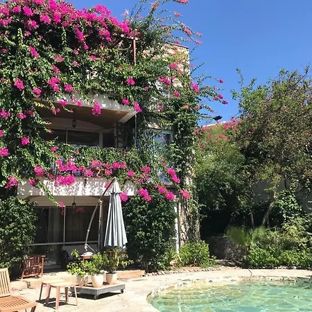 Triplex With Private Pool And Garden Villa