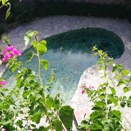 Triplex With Private Pool And Garden